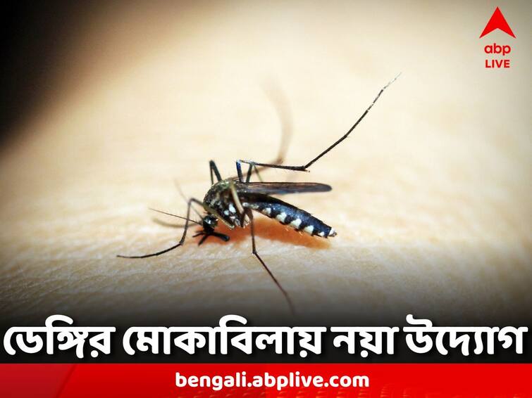 state has issued guidelines to prevent the spread of dengue and platelet deficiency Dengue: বর্ষার শুরুতেই ডেঙ্গির দাপট, প্লেটলেট ঘাটতি ঠেকাতে গাইডলাইন জারি রাজ্যের