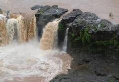 Photos: વરસાદના કારણે ડાંગ જિલ્લામાં આવેલો ગીરા ધોધ સોળે કળાએ ખીલી ઉઠ્યો,  લોકો ઉમટી પડ્યા