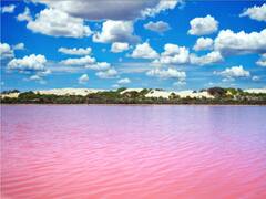 Barbie's Travel List: 7 Pretty Pink Spots To Add Glamour To Your Adventures