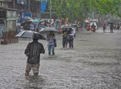 Weather Update : गुजरातपासून पंजाबपर्यंत पावसाचा कहर, अनेक राज्यात सतर्कतेचा इशारा