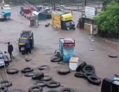 Weather Update : गुजरातपासून पंजाबपर्यंत पावसाचा कहर, अनेक राज्यात सतर्कतेचा इशारा