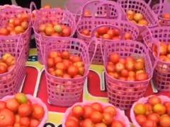 मंत्री केटी रामा राव के जन्मदिन पर BRS नेता ने बांटे टमाटर, चिकन-शराब देकर बटोर चुके हैं सुर्खियां