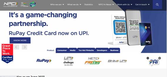 UPI-তে গন্ডগোল? নালিশ শুনবে NPCI
