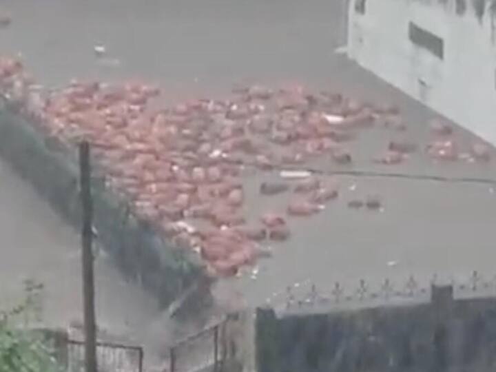 Video shows gas cylinders being swept away amid heavy rains in Gujarat Watch Video: கேஸ் விக்குற விலையில..! வெள்ளத்தில் அடித்துச் செல்லப்பட்ட நூற்றுக்கணக்கான சிலிண்டர்கள்...!