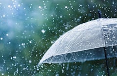 Rain Update: पुढील 5 दिवस राज्यातील 'या' भागांत मुसळधार पाऊस; पाहा तुमच्या विभागातील स्थिती