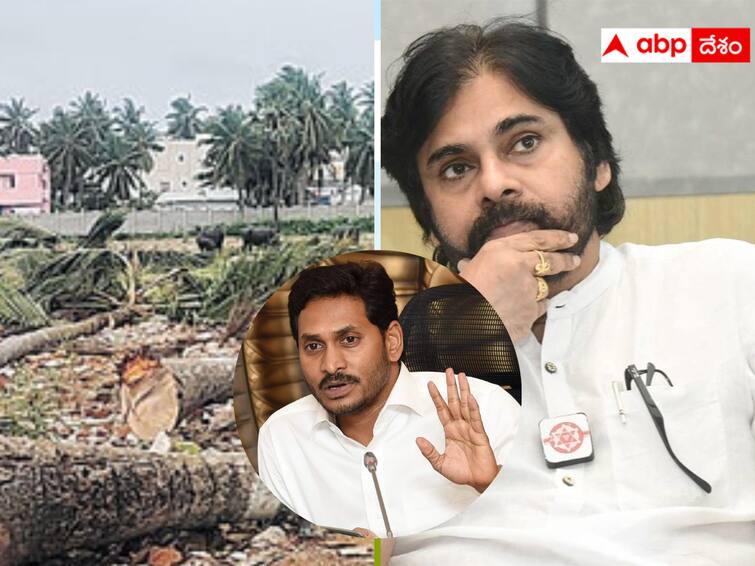 Pawan Kalyan criticized that even trees are crying under YCP regime. Pawan Kalyan :  వైసీపీ పాలనలో వృక్షాలు కూడా విలపిస్తున్నాయి -  జగన్‌ను మరోసారి గురి పెట్టిన  పవన్ !