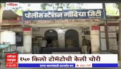 Gondia Market : 150 किलो टोमॅटोची दुकान फोडून चोरी, गोंदियाच्या भाजी बाजारातील घटना