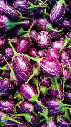 આ 6 લોકોએ ભૂલથી પણ રીંગણનું સેવન ન કરવું જોઈએ!