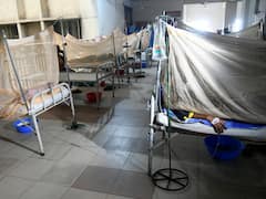 Bangladesh Sees Dengue Surge: More Than 170 Dead, Record Hospitalisations In A Single Day