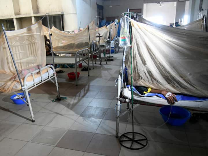 Bangladesh Sees Dengue Surge: More Than 170 Dead, Record Hospitalisations In A Single Day Bangladesh Sees Dengue Surge: More Than 170 Dead, Record Hospitalisations In A Single Day