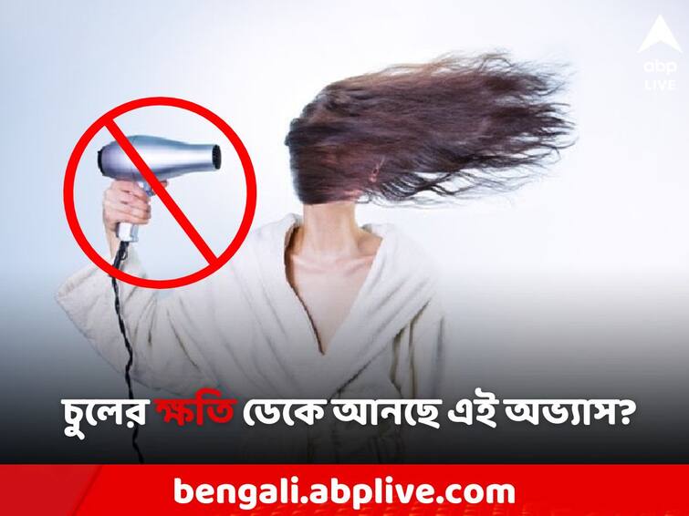 Minimize the use of straighteners dryers the secret to healthy hair Hair Care: চুলে স্ট্রেটনার, ড্রায়ার ব্যবহার করেন মাঝেমধ্যেই? কোন বিপদের বার্তা দিলেন চিকিৎসকরা?