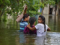Gujarat, Ghaziabad, J&K Continue To Reel Under Floods. Eye Flu Cases Rise In Delhi. In Pics