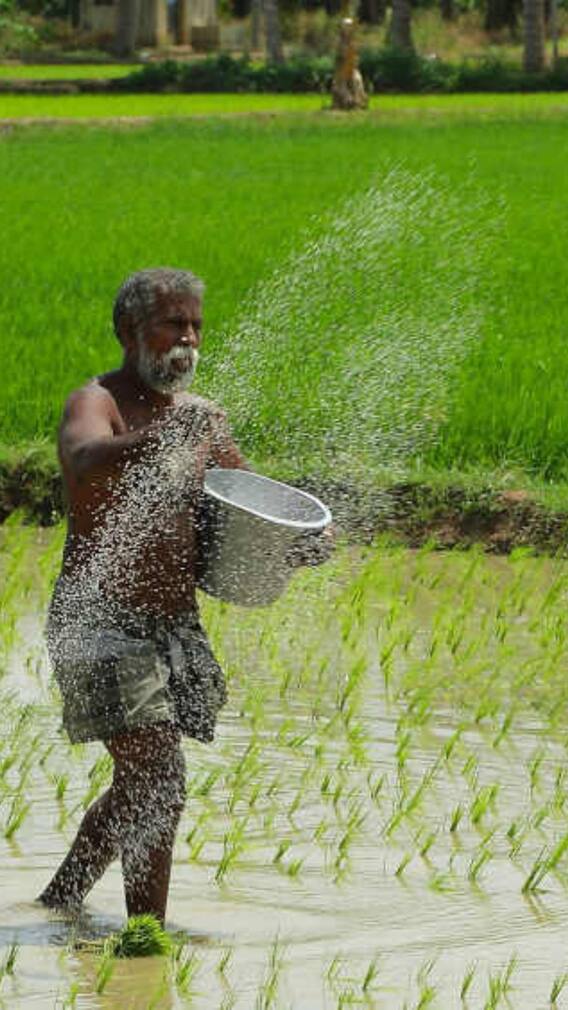 ਹਰ ਸੀਜ਼ਨ ‘ਚ ਕਮਾਓ ਲੱਖਾਂ ਰੁਪਏ, ਇਦਾਂ ਕਰੋ ਖੇਤੀ