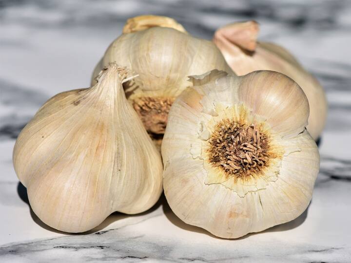 खाली पेट 'लहसुन' खाने से शरीर को मिलतें हैं ये फायदे, मगर इन लोगों को नहीं खाना चाहिए