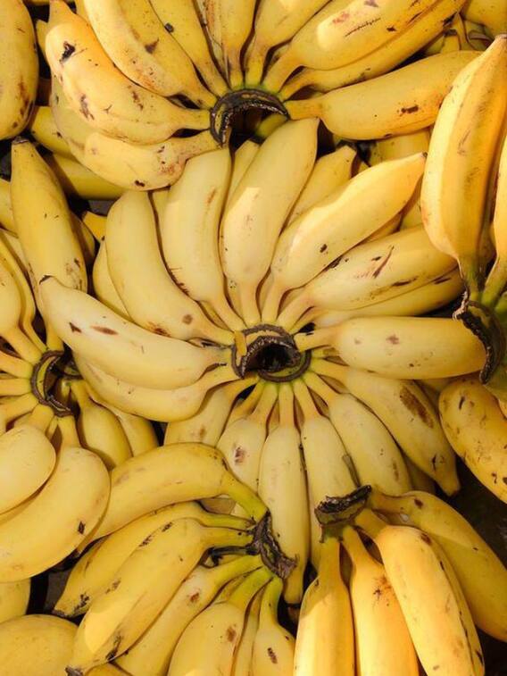 विश्व के 10 बड़े देश जहां केले का सबसे ज्यादा होता है उत्पादन