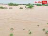 Heavy Floods: తెలంగాణలో నిండుకుండల్లా మారిన ప్రాజెక్టులు - ఆలమట్టికి భారీ వరద