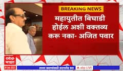 Ajit Pawar : महायुतीत बिघाडी होईल अशी वक्तव्य करु नका- अजित पवार