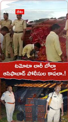 టమోటా లారీ బోల్తా..ఆసిఫాబాద్ పోలీసుల కాపలా.!