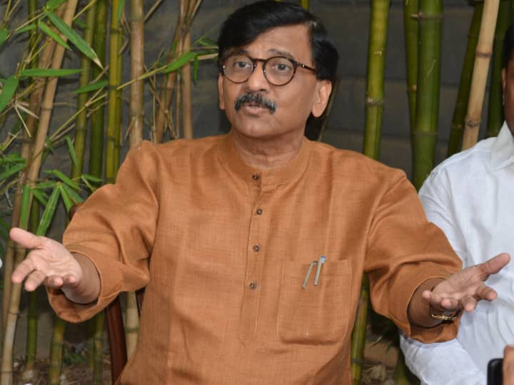 Sanjay Raut Slams Vidhansabha Speaker Rahul Narvekar BJP Eknath Shinde in Telangana Lok Sabha Election Maharashtra News Sanjay Raut: विधानसभा अध्यक्ष तर सरकारच्या ताटाखालचे मांजर, संजय राऊतांची नार्वेकरांवर जहरी टीका