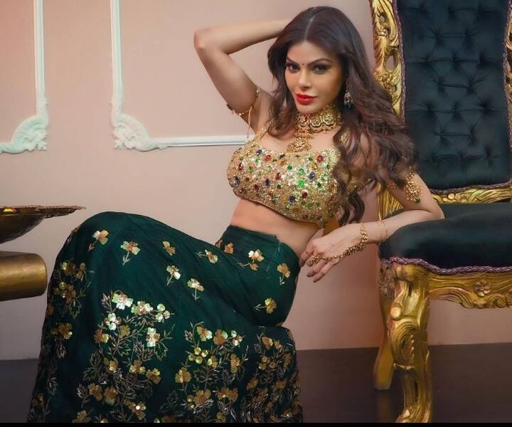 शर्लिन ने खुलासा किया कि मैंने उन डायरेक्टर्स से कहा कि मैं अपनी फ्लैट चेस्ट से बोर हो चुकी थी इसलिए सर्जरी करा ली.