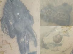 కృష్ణానదిలో పురాతన విగ్రహాలు - విష్ణుమూర్తి, శివలింగం, రెండు నందుల రాతి శిలలు గుర్తింపు