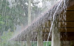 Rain Update: पुढील 5 दिवस राज्यातील 'या' भागांत मुसळधार पाऊस; पाहा तुमच्या विभागातील स्थिती