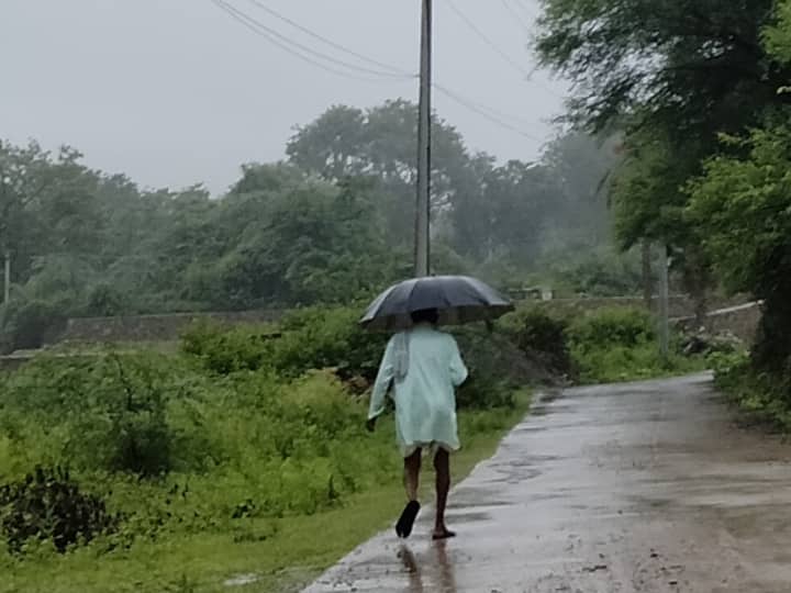 Udaipur News: बारिश में अरावली की पहाड़ियों ने हरियाली की चादर ओढ़ ली है. सोने पर सुहागा सोमवार सुबह हुआ, जब उदयपुर में अरावली धुंध की आगोश में समा गई. मौसम विभाग ने आज भारी बारिश का अलर्ट है.