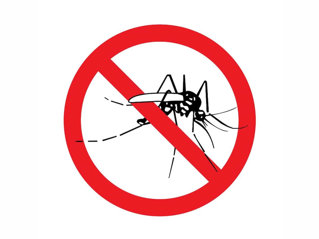 Preventing Vector-Borne, Gastrointestinal Illnesses During Monsoon —  Strategies And Treatment Preventing Vector-Borne, Gastrointestinal Illnesses During Monsoon —  Strategies And Treatment