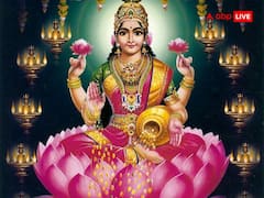 Lakshmi Ji Upay: अमीर बनना है तो घर पर रखें ये चीजें, मां लक्ष्मी करेंगी वास