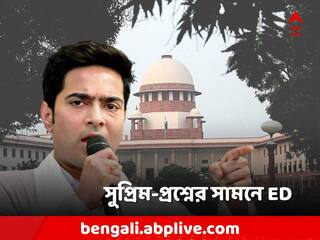 Supreme Court: অভিষেকের বিদেশযাত্রায় বাধা কেন? ED-এর কাছে জানতে চায় শীর্ষ আদালত
