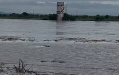 Rain : राज्यात आत्तापर्यंत 485.10. मिमी पाऊस, कोकणात सर्वात जास्त पाऊस