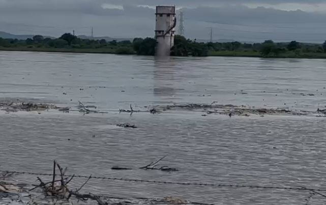 कोकणात आत्तापर्यंत सर्वाधिक पावसाची नोंद झाली आहे.