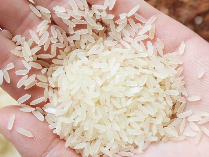 government put ban on non basmati rice export know how it is affecting farmers of chhattisgarh ann Chhattisgarh: गैर बासमती राइस एक्सपोर्ट पर बैन का छत्तीसगढ़ में कितना असर? किसानों की चिंता बढ़ी