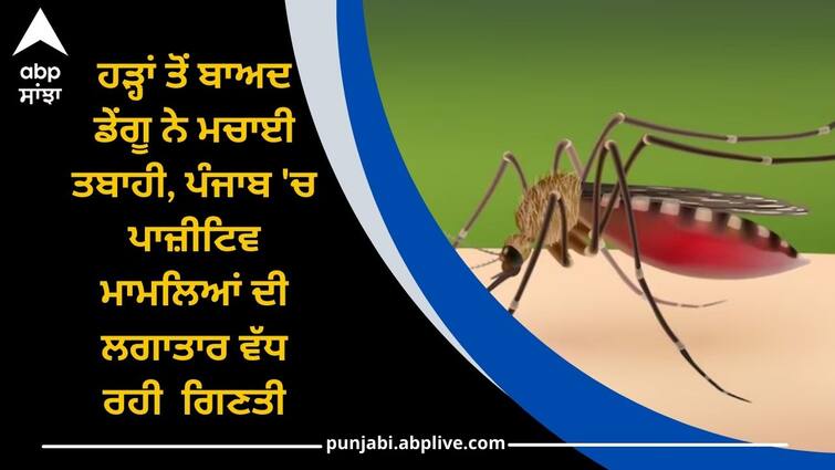 Punjab News: Dengue wreaks havoc after floods, number of positive cases in Punjab crosses 291 Punjab News: ਹੜ੍ਹਾਂ ਤੋਂ ਬਾਅਦ ਡੇਂਗੂ ਨੇ ਮਚਾਈ ਤਬਾਹੀ, ਪੰਜਾਬ 'ਚ ਪਾਜ਼ੀਟਿਵ ਮਾਮਲਿਆਂ ਦੀ ਗਿਣਤੀ 291 ਤੋਂ ਪਾਰ