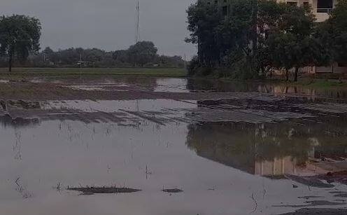 Rain : राज्यात आजही मुसळधार पावसाचा इशारा