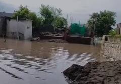 Rain : राज्यात आत्तापर्यंत 485.10. मिमी पाऊस, कोकणात सर्वात जास्त पाऊस