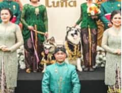 Indonesia Dogs Marriage: इंडोनेशिया में कुत्ते के शादी में खर्च किए 11 लाख रुपये, सोशल मीडिया पर लोगों ने लगाई क्लास, मांगनी पड़ी माफी