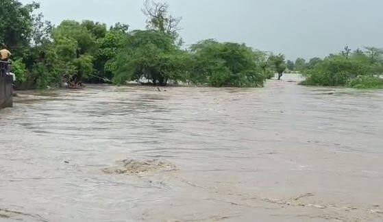 कोकणात (Konkan) सर्वाधिक पावसाची नोंद झाली आहे. याबाबतची माहिती हवामान विभागानं (imd) दिली आहे.