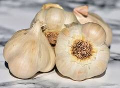 Garlic benefits: ਖਾਲੀ ਪੇਟ ਲਸਣ ਖਾਣ ਨਾਲ ਸਰੀਰ ਨੂੰ ਹੁੰਦੇ ਇਹ ਫਾਇਦੇ, ਪਰ ਇਨ੍ਹਾਂ ਲੋਕਾਂ ਨੂੰ ਕਰਨਾ ਚਾਹੀਦਾ ਪਰਹੇਜ਼