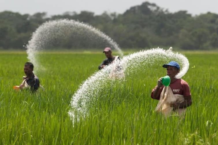 these-crops-did-not-need-urea-you-can-try-these-things Farming: ਜੇਕਰ ਤੁਸੀਂ ਇਨ੍ਹਾਂ ਫਸਲਾਂ 'ਚ ਪਾਉਂਦੇ ਯੂਰੀਆ, ਤਾਂ ਅੱਜ ਹੀ ਕਰ ਦਿਓ ਬੰਦ, ਨਹੀਂ ਤਾਂ ਹੋ ਜਾਵੇਗਾ ਨੁਕਸਾਨ