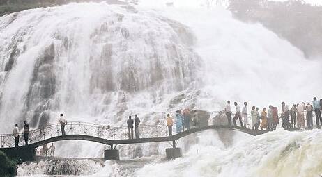 पावसामुळे भंडारदऱ्याचं निसर्ग सौदर्य खुललं आहे.