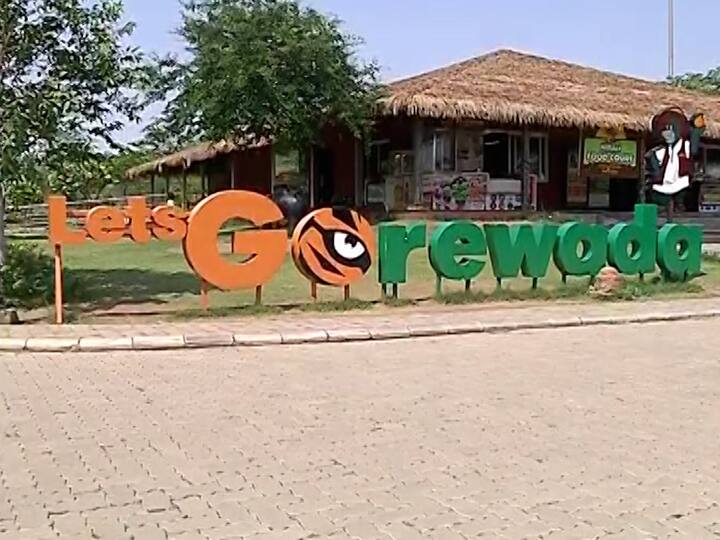 जाळीदार अजगर म्हणजेच रेटिक्युलेटेड पायथॉन असे त्यांचे शास्त्रीय नाव असून त्यांना मंगलोरच्या प्राणी संग्रहालयातून नागपुरात आणले आहेत.