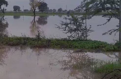 1 जून ते 24 जुलैपर्यंत राज्यात सरासरी 458.4 मिमी पावसाची नोंद होत असते, मात्र प्रत्यक्षात 485.10. मिमी पाऊस कोसळला आहे.