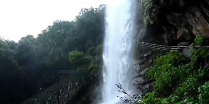 भंडारदरा धरण क्षेत्रात जोरदार पाऊस सुरू आहे.