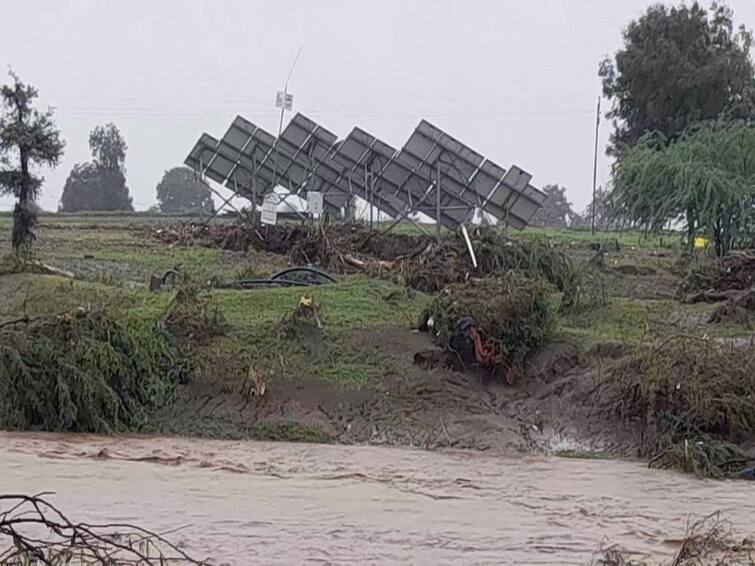 Heavy rains in Buldhana district caused huge damage to agricultural crops Rain : बुलढाणा जिल्ह्याला अतिवृष्टीचा मोठा फटका, संग्रामपूर आणि जळगाव जामोद तालुक्यात शेतीचं मोठं नुकसान, वाचा सविस्तर आकडेवारी