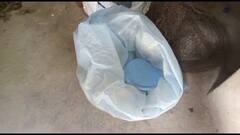 ক্ষান্তি নেই বোমা উদ্ধারে, মুর্শিদাবাদে উদ্ধার ৩০ তাজা বোমা