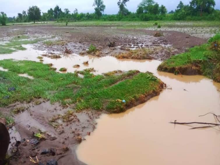 nanded news Nine thousand hectares of agriculture in Nanded was washed away Horizontal crops on 2 lakh hectares अतिवृष्टी! दोन दिवसांत नांदेडमधील 9 हजार हेक्टर शेती खरडून गेली; 2 लाख हेक्टरवरील पिके आडवी