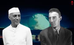J. Robert Oppenheimer: নিজের সৃষ্টি দেখে শিউড়ে উঠেছিলেন নিজেই, অপেনহাইমারকে তাড়াতে চেয়েছিল আমেরিকা, সঙ্কটে পাশে ছিলেন নেহরু