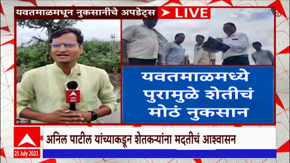 Yavatmal Farmers : यवतमाळमध्ये पावसामुळे शेतकऱ्यांचं मोठं नुकसान, पंचनामे सुरु पण अद्याप मदत नाही