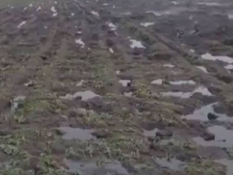 Yavatmal Rain news Heavy loss of crops in Yavatmal district due to flood water Yavatmal : यवतमाळ जिल्ह्याला पुराचा तडाखा, 2 लाख 37 हजार हेक्टरवरील पिकांना मोठा फटका